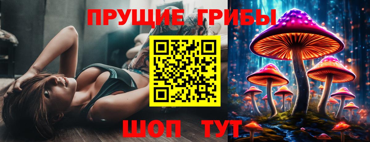 Галлюциногенные грибы MAGIC MUSHROOMS  Вход с VPN  Можга  Псилоцибиновые грибы прущие грибы 